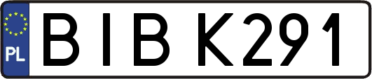 BIBK291