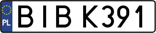 BIBK391