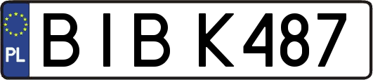 BIBK487