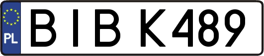 BIBK489