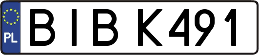 BIBK491