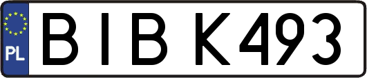BIBK493