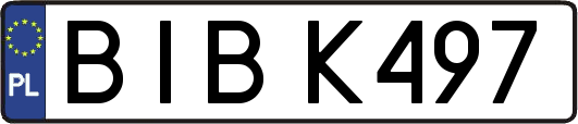 BIBK497