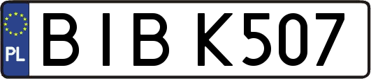 BIBK507