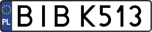 BIBK513