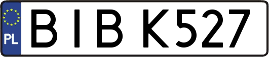 BIBK527