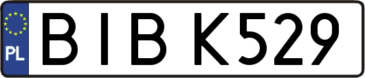BIBK529