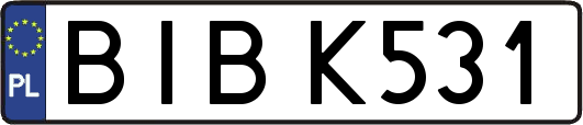 BIBK531