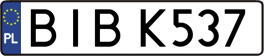 BIBK537