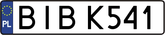 BIBK541