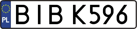 BIBK596