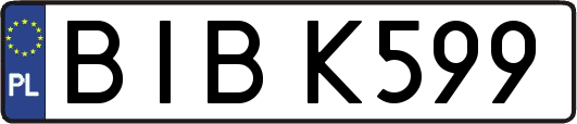 BIBK599