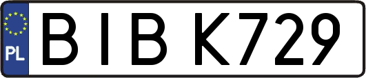 BIBK729
