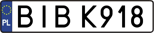 BIBK918