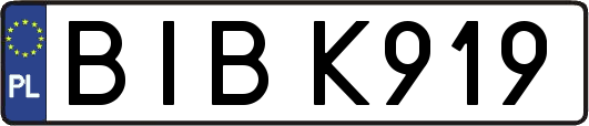 BIBK919