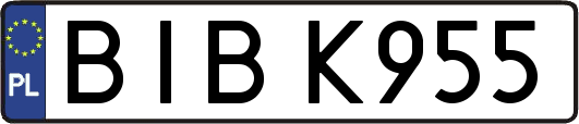 BIBK955
