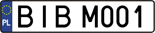 BIBM001