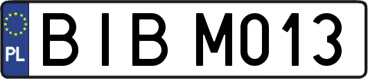 BIBM013