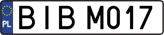 BIBM017