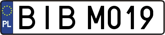 BIBM019