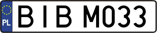 BIBM033