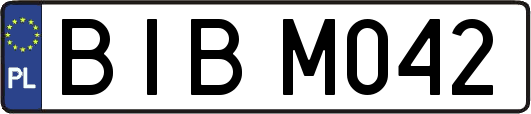 BIBM042