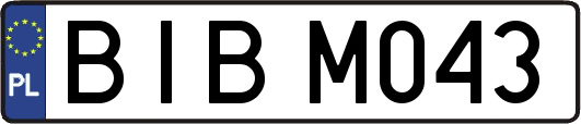 BIBM043