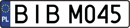 BIBM045