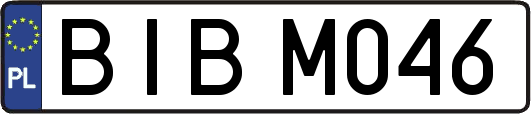 BIBM046
