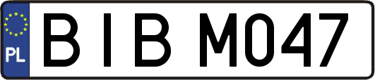 BIBM047