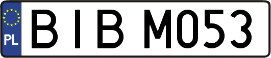 BIBM053
