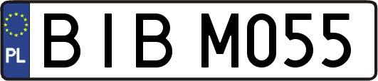 BIBM055