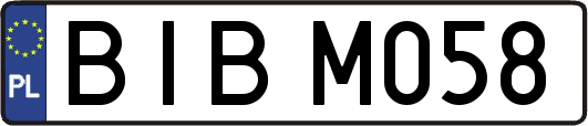 BIBM058