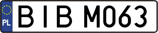 BIBM063