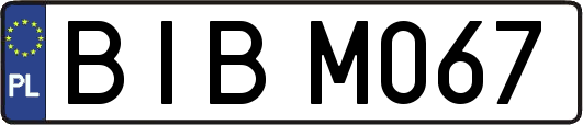 BIBM067