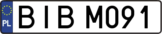 BIBM091