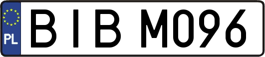 BIBM096