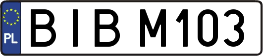 BIBM103