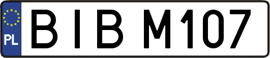 BIBM107