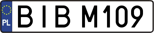 BIBM109