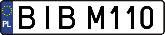 BIBM110