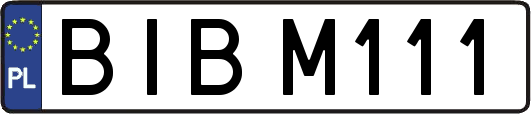 BIBM111
