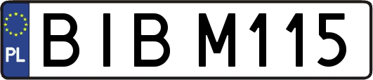 BIBM115