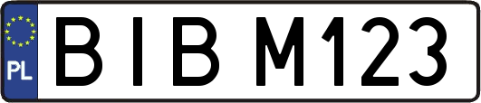 BIBM123