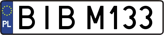 BIBM133