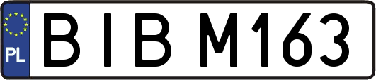 BIBM163