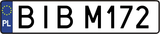 BIBM172