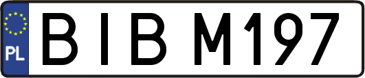 BIBM197