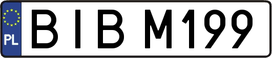 BIBM199