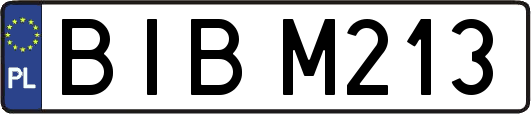 BIBM213